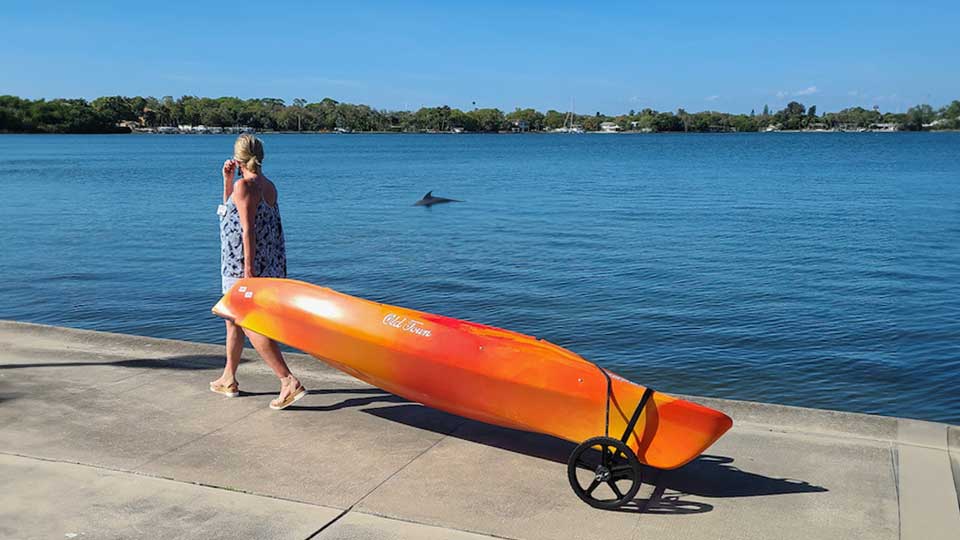 Volution Kayak walking wheeled carrier with dophis in the water.